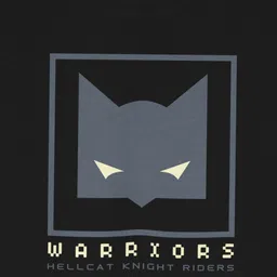 HELLCAT Boys Printed T-shirt with Shorts image 3