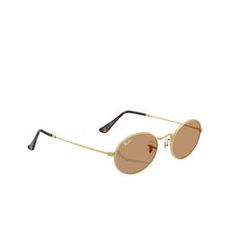 Ray-Ban Unisex Oval Sunglasses with UV Protected Lens-picture-42