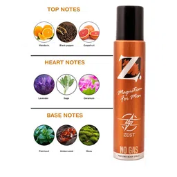 Z-MAGNETISM FOR MEN Zest Long Lasting Deodorant Body Spray - 120ml(99g) image 3