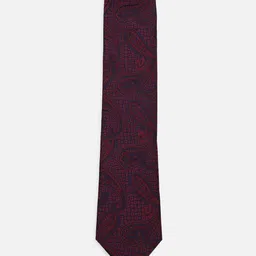 Allen Solly Men Accessory Gift Set of Embroidered Tie, Pocket Square and Lapel Pin image 3