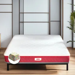 coirfit BONE ZONE with REBOTECH Tech 6 Inch Bonded & PU Foam King Size Mattress image 1