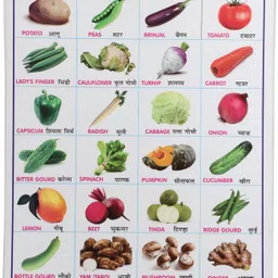 kajal entra prises Vegetable Learning Chart for Kids | Laminated Educational Wall Poster | Colorful Pictures & Name of Vegetables | Preschool, Nursery & School Learning Study Chart Fine Art Print image 1