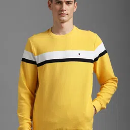 Louis Philippe Sport Men Striped Sweatshirt-image-63