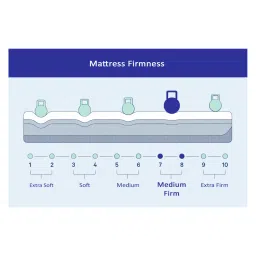 springtek Dreamer Orthopedic 3 Layered Dual Comfort 6 Inch Memory & HR Foam Mattress In Single Size image 5