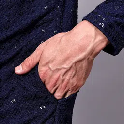 Go Stylish Men Embellished Sequinned Grandeur & Majestic Artwork Kurta image 3