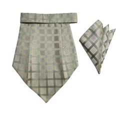 VOICI Men Woven Design Cravat-picture-13