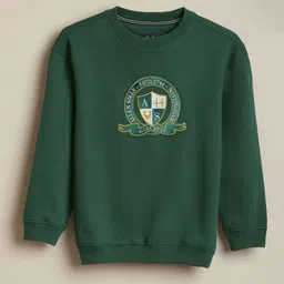 Allen Solly Junior Boys Embroidered Sweatshirt-picture-26