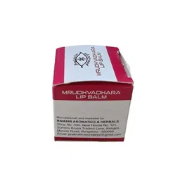 Prakruthi Soundarya Mrudhvadhara Natural Lip Balm For Hydration With Shea Butter - 20 g image 2