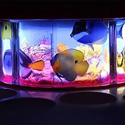saleoff Musical Fish Catching Game Big with 26 Fishes, 4 Pods & 3D Lights-726 image 1