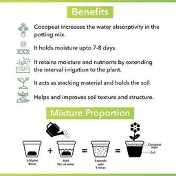myowngardening COCOPEAT 5KG BLOCK (Coirpith or Coco fibre or CocoPeat) for Terrace Gardening Manure image 4