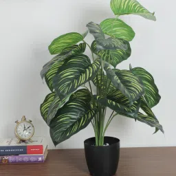 arick decor 2.2Ft Artificial Tabooj Plants With Black Pot 18 Leaves image 1