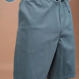 highlander Solid Men Blue Regular Shorts image 4