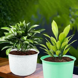 Kuber Industries Green & White 2 Pieces Textured Planters With Plate image 1