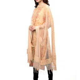 A R SILK DUPATTA HUB Ethnic Motifs Woven Design Organza Dupatta with Mirror Work image 3