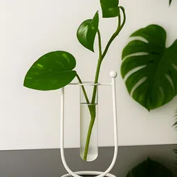 LHC Wide Mouth Glass Flower Vase image 4