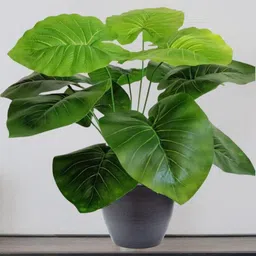 Go Hooked Pack Of 2 Green Artificial Monstera Plant with complimentary Black Nursery Pot image 2