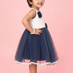 BAESD Net Fit & Flare Dress image 2