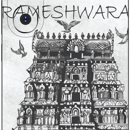 SKINADDA VIVO Y200 4G Premium Vinyl BACK 175 Mobile Skin image 1