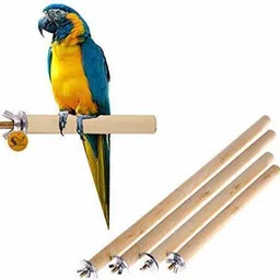sage square Set of 4 Natural Habitat Wooden Perch/Stand/Toy for Birds(Sizes-4,6,8,10)(Combo) Wooden Perch, Training Aid, Stick For Bird-picture-19