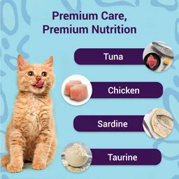 purrfeto wet cat food ocean fish in gravy pack of 12 Fish 0.96 kg (12x0.08 kg) Wet Adult Cat Food image 5