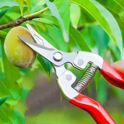 a&s toolshop Stainless Steel Branch Shear Flower Cutting Pruning Shears Straight Snip 1X Pruning Shear Garden Scissor Bypass Pruner image 3