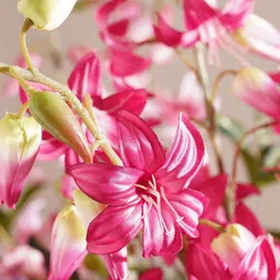 Pure Home and Living Pink 1 Piece Lily Artificial Flower image 4