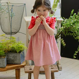LULU & SKY Checked Flutter Sleeve A-Line Dress-picture-49