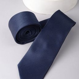 Allen Solly Men Embroidered Skinny Tie-picture-22
