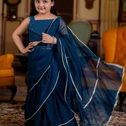 Sangria Saree With Blouse-picture-23