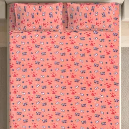 Myntra Elegant Homes Peach-Coloured & White 300 TC King Bedsheet with 2 Pillow Covers image 3