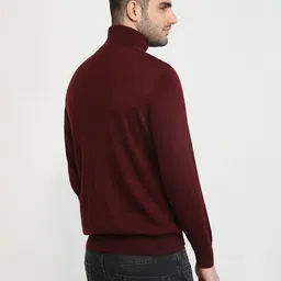 ColorPlus Turtle Neck Pullover Sweater image 4