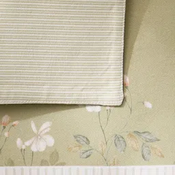 Home Centre Drake Botanica Cotton Green & White Printed ReversiblePlacemat image 3