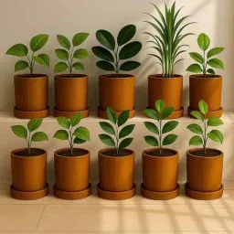 the handicraftian 10 Pcs Red Terracotta 4 Inchs Planters-picture-33
