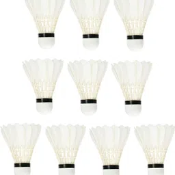 winexsports 10 Pic Practice Plastic Badminton Shuttlecock Feather Shuttle - White image 2
