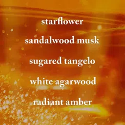 Bath & Body Works In The Stars Body Wash image 2