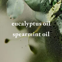 Bath & Body Works Eucalyptus Spearmint Pocketbac Hand Sanitizer image 2