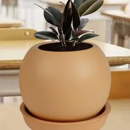 LASAKI Peblo Brown Ceramic Handmade Planter With Plate image 5