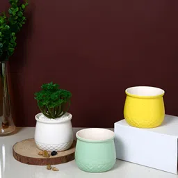 TAYHAA Yellow & White 3 Pieces Sunlit Harmony Planters-picture-34