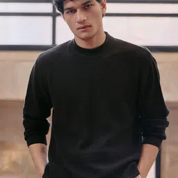 Andamen Men Self Design Round Neck Sweater-image-43