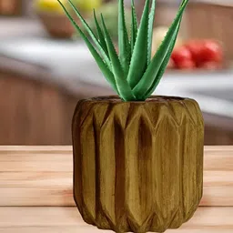 LASAKI Kavira Brown Antique Ceramic Planters-image-10