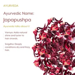 Dailyherbs Hibiscus Powder For Hair & Shine - 100 g image 3