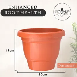 Kuber Industries Pack Of 24 Orange Colored Planters image 5