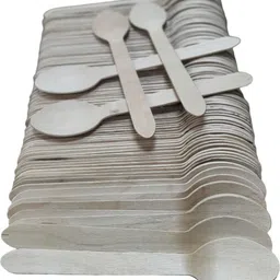 inesh Wooden Set of Eco Friendly Disposable Spoon | Wood Spoon 160 mm (160 mm, 100) Disposable Wooden Table Spoon Set image 1