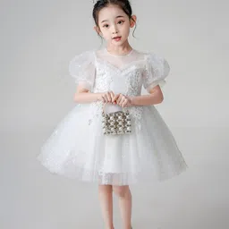 JC SPARKLE Girls Embroidered Puff Sleeve Fit & Flare Dress-image-80