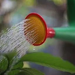 garden craft GCWC10L 10 L Hand Held Sprayer image 3