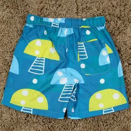 The Lion and The Fish Boys Printed Shorts image 2