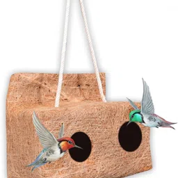 feel better Jurassic Bird House-picture-21