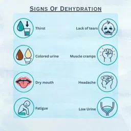 lacolite ORS with Zinc & Probiotics, Fast Rehydration, Immunity & Gut Support Hydration Drink image 5