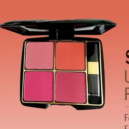 Elecsera Women Imported Blusher Kit- 10 g- Shade- 05 image 2