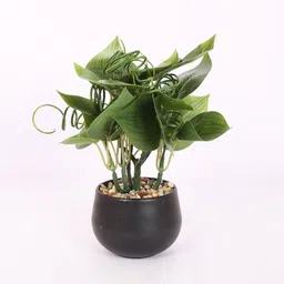 Home Bloom Green 1 Pieces Artificial Plant With Pot image 2